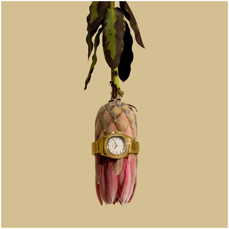 Radiant Scape Relógio de Mulher Dourado Bracelete Aço
