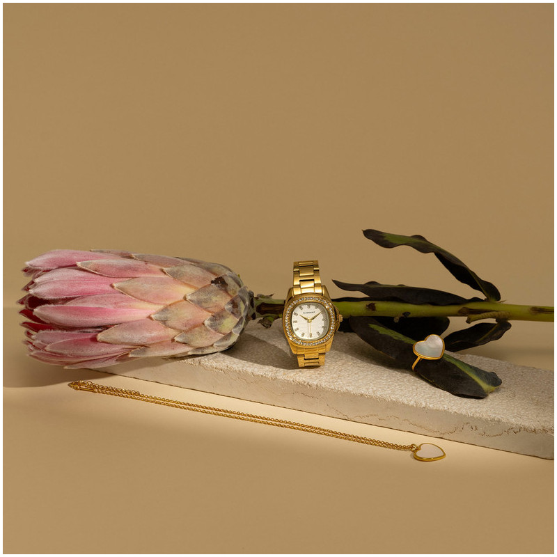 Radiant Scape Relógio de Mulher Dourado Bracelete Aço