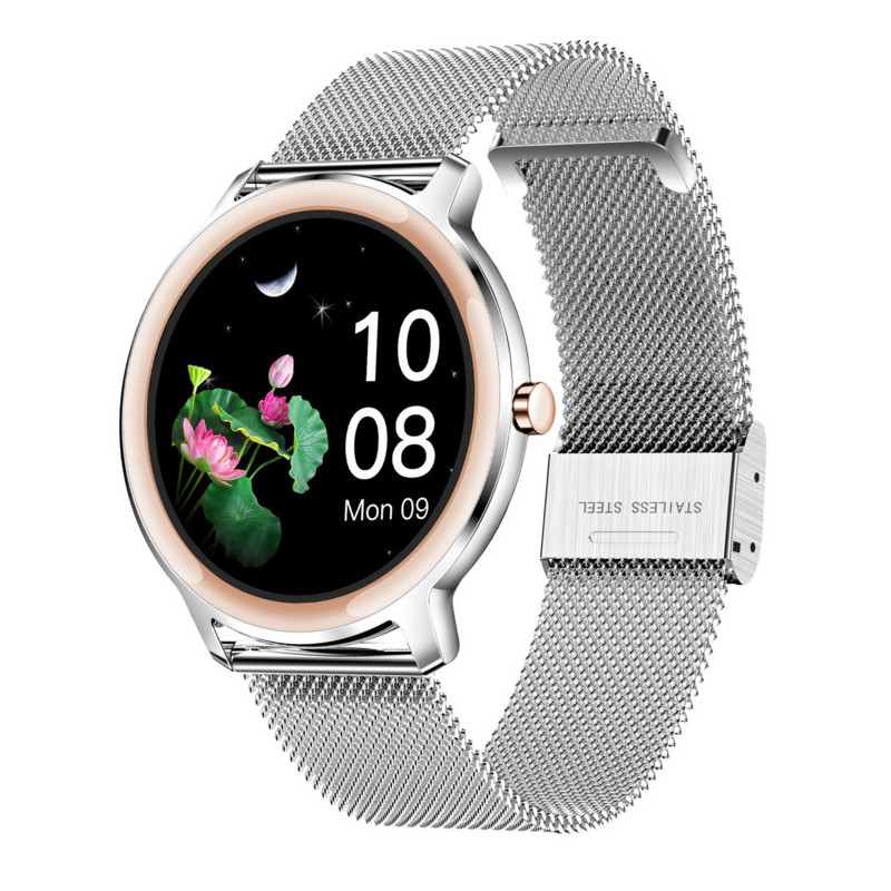 DAKOTA2 42MM IPSILVER SILVER MESH