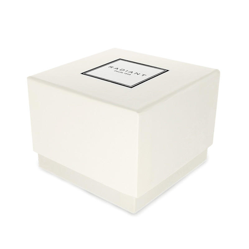 GINGER 38MM IPRG DIAL SILVER SS BAND