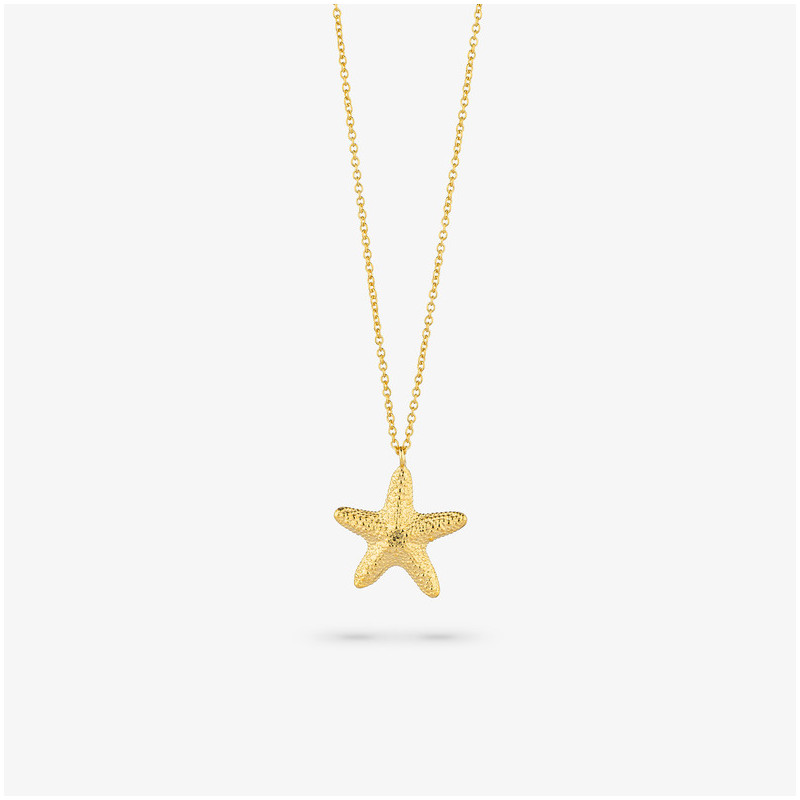 Colar Dourado STARFISH Radiant Mulher Prata de lei