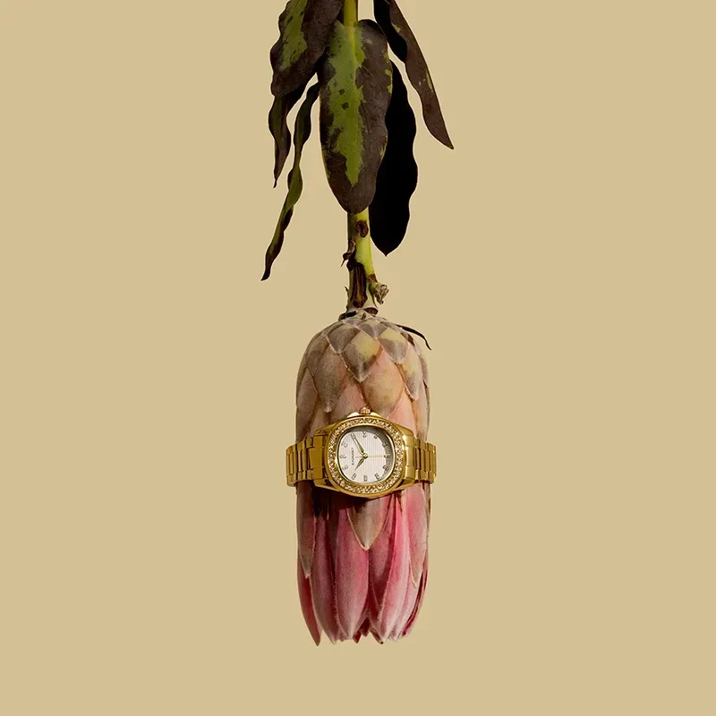 Radiant Scape Relógio de Mulher Dourado Bracelete Aço