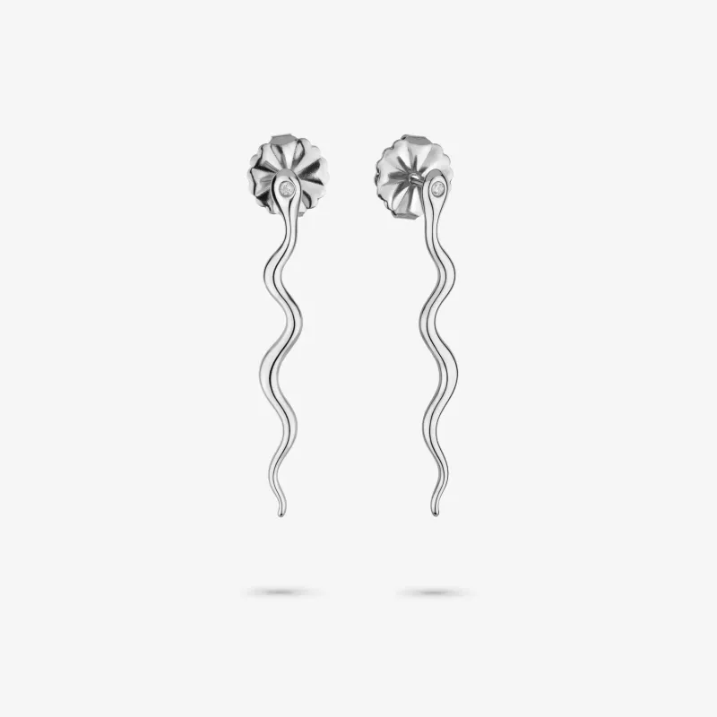 Brincos para Mulher Nature Prateados | Radiant