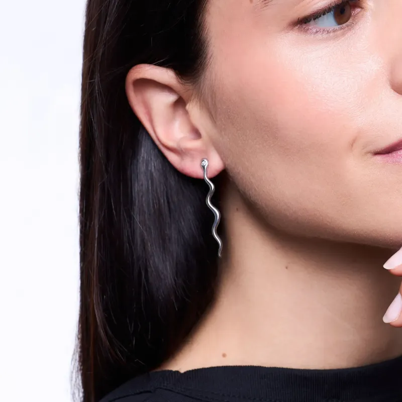 Brincos para Mulher Nature Prateados | Radiant